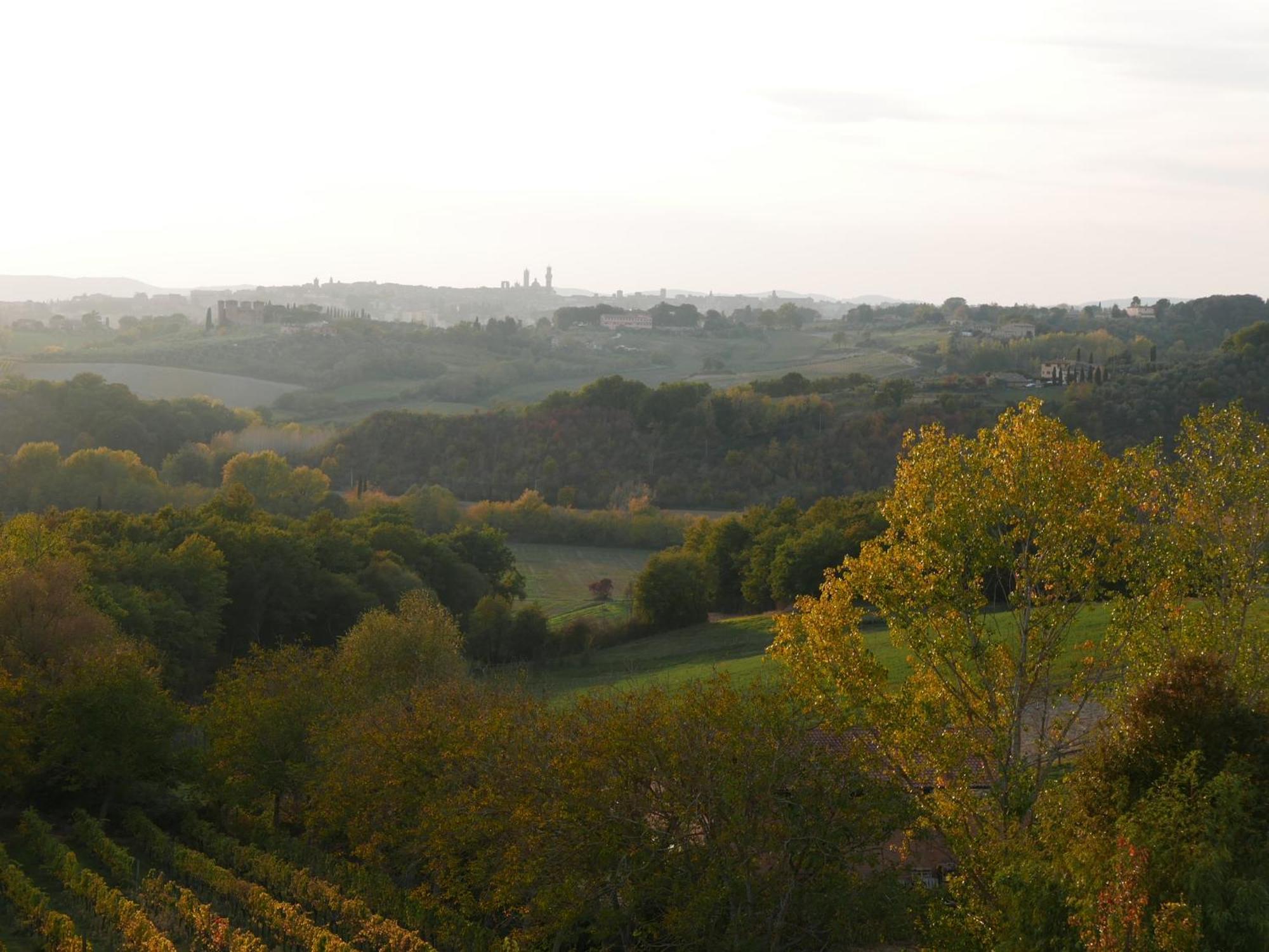 Ca' Bianca Tuscany Relais シエーナ エクステリア 写真